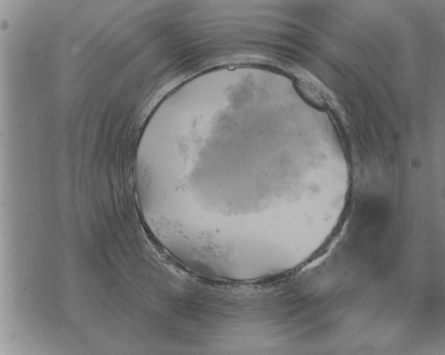 X0000074340945200609152118