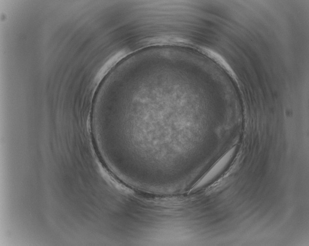 X0000074340946200609152118