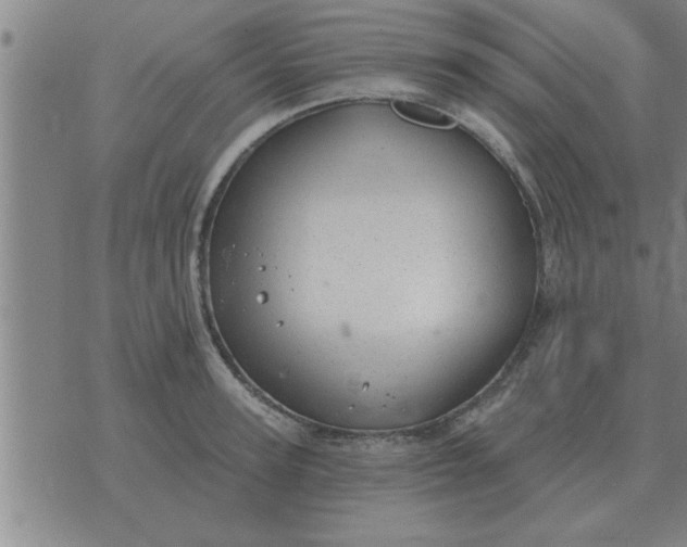 X0000074340947200609152118