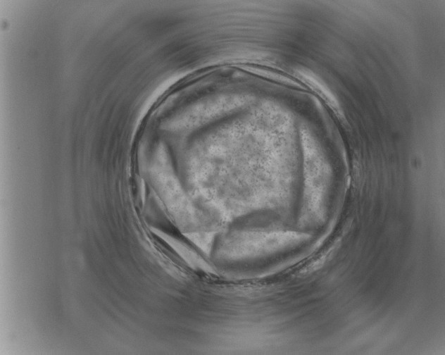 X0000074340948200609152118