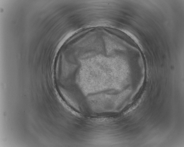 X0000074340949200609152118