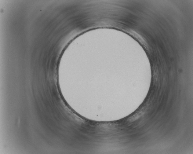 X0000074340950200609152118