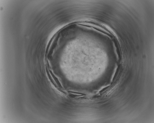 X0000074340951200609152119