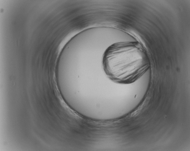 X0000074340952200609152119