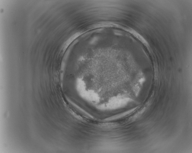 X0000074340953200609152119