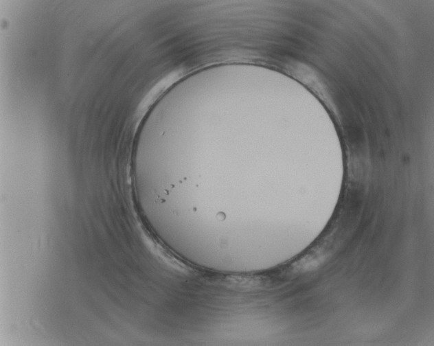 X0000074340954200609152119