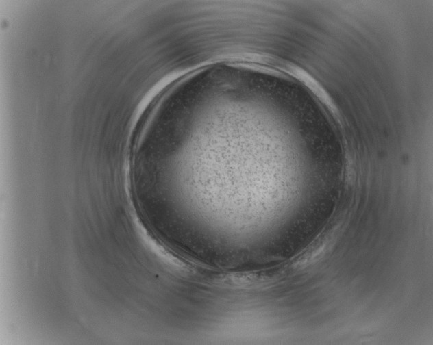 X0000074340955200609152119