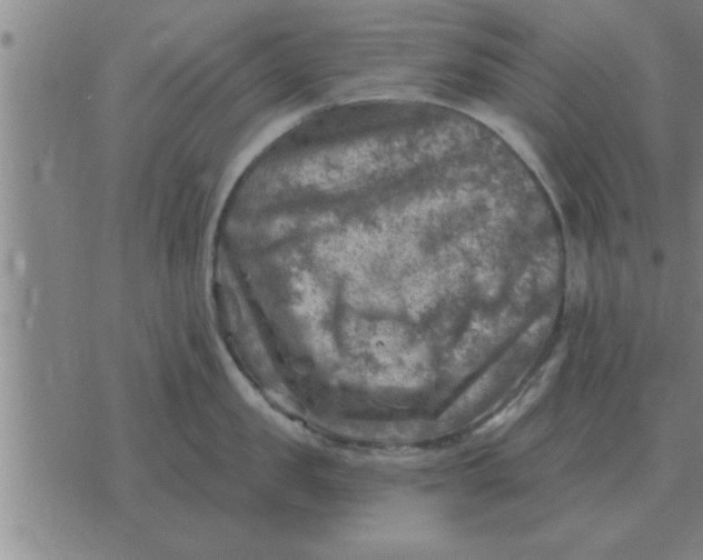 X0000074340957200609152119