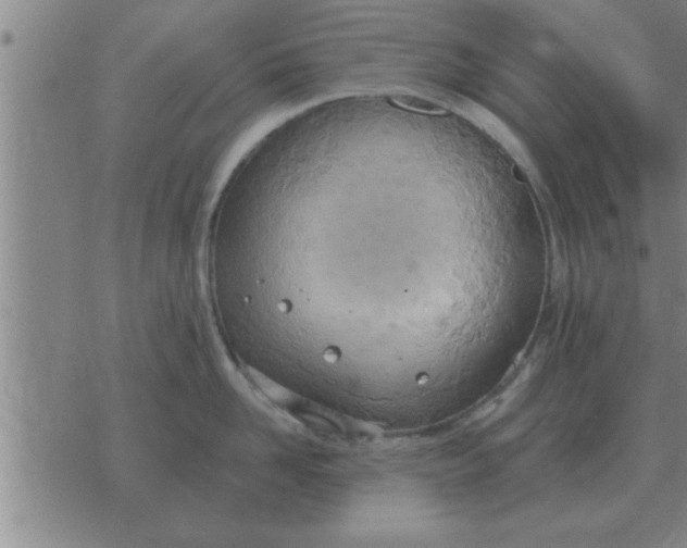 X0000074340958200609152119