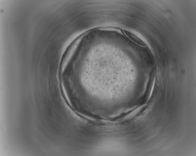 X0000074340959200609152119