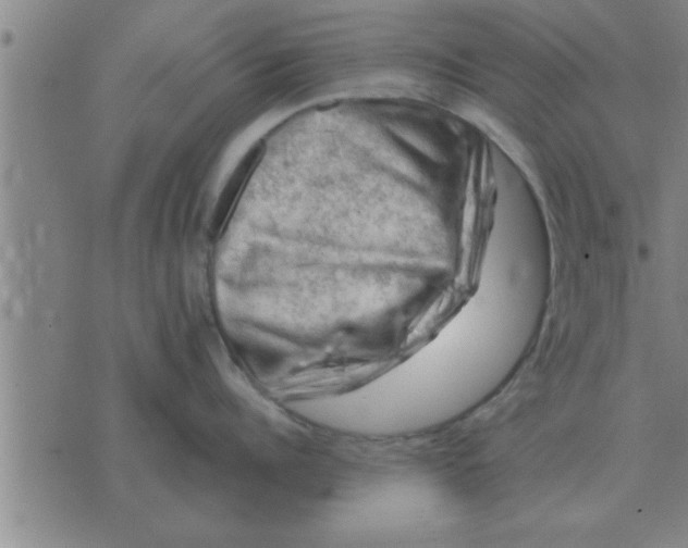 X0000074340960200609152119