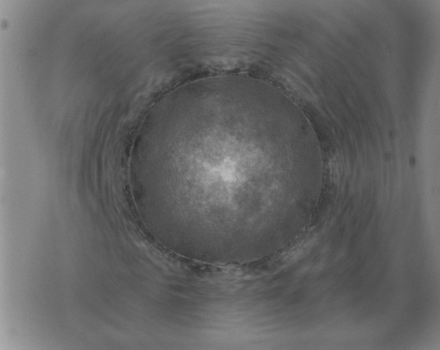 X0000074340961200609152118