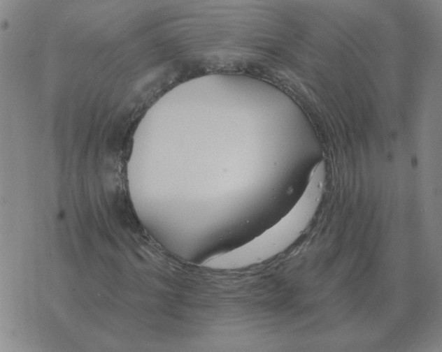 X0000074340964200609152118