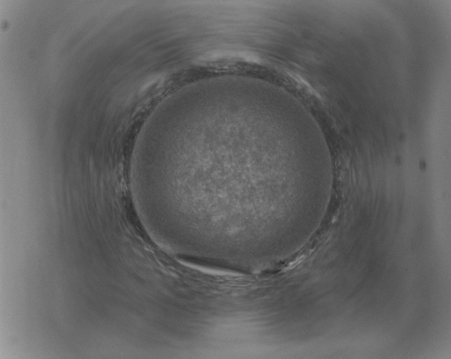 X0000074340965200609152118