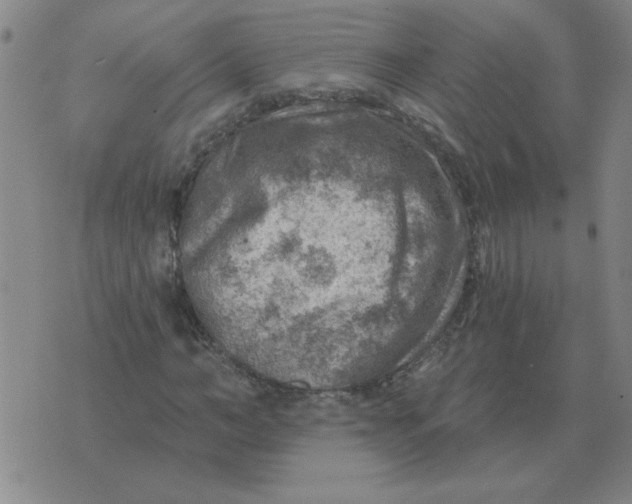 X0000074340966200609152118