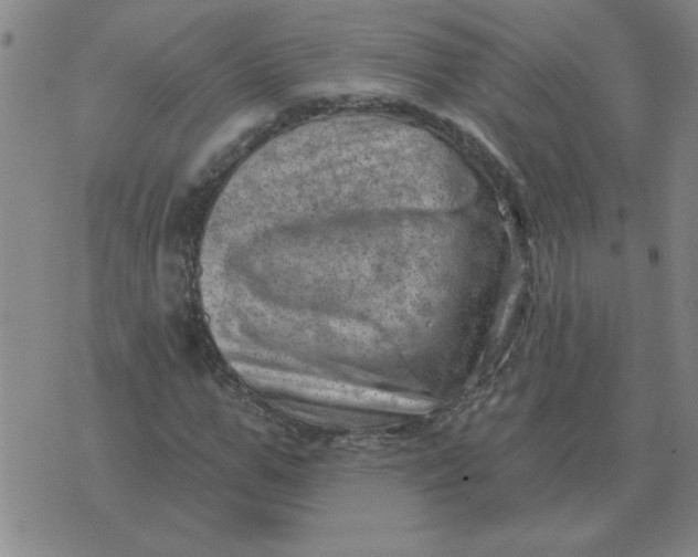 X0000074340967200609152118