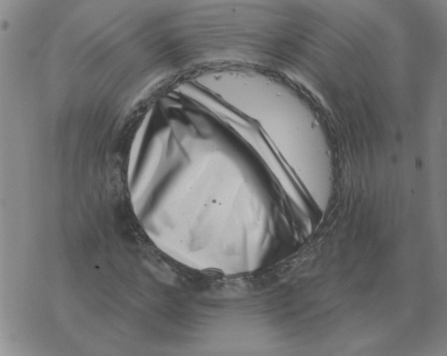 X0000074340968200609152118