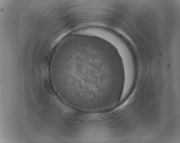 X0000074340969200609152118