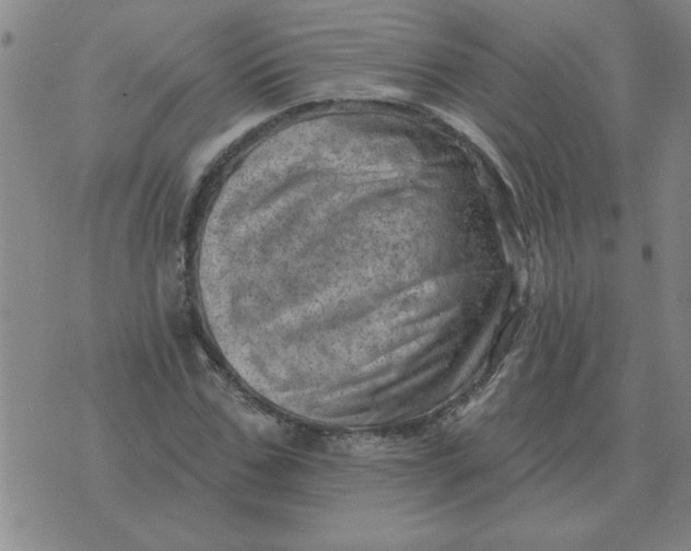 X0000074340971200609152118