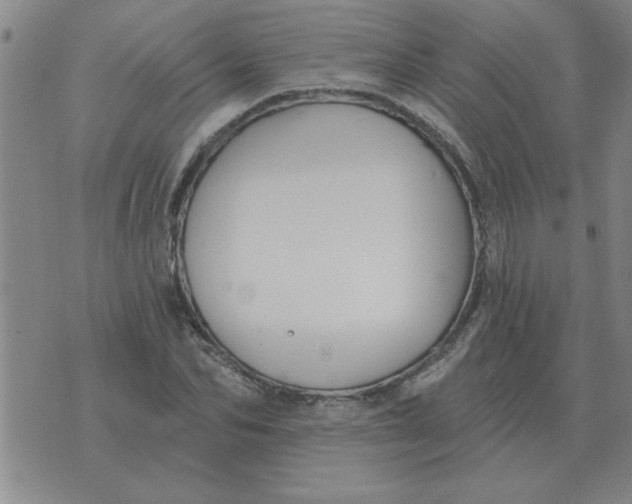 X0000074340974200609152118