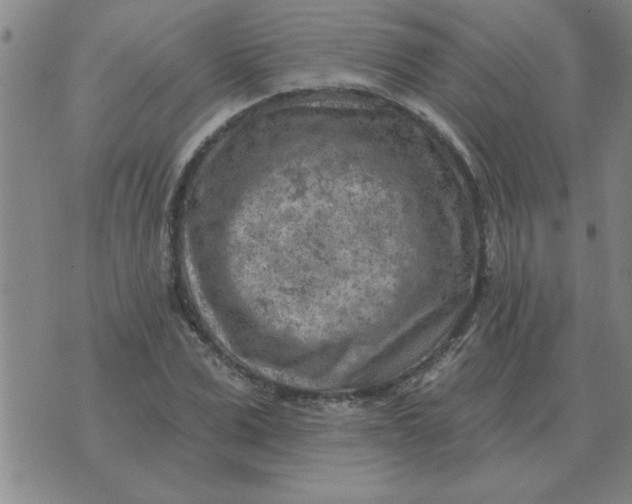 X0000074340975200609152118