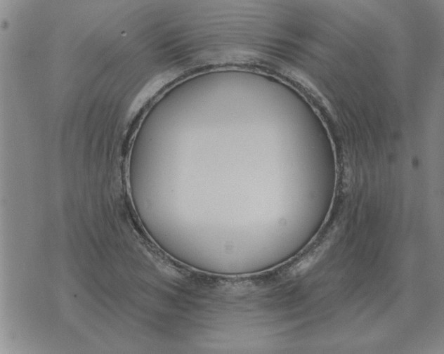 X0000074340978200609152118