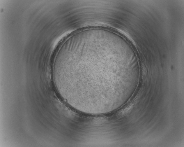 X0000074340979200609152118