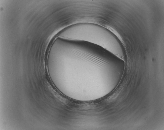 X0000074340980200609152118