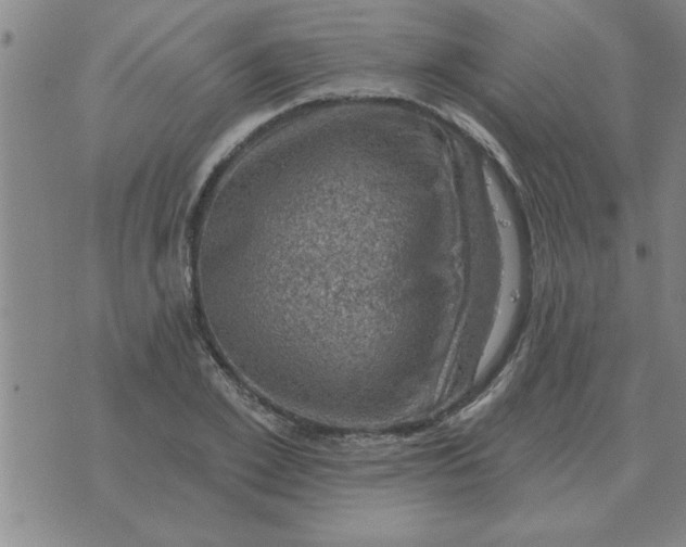 X0000074340981200609152118