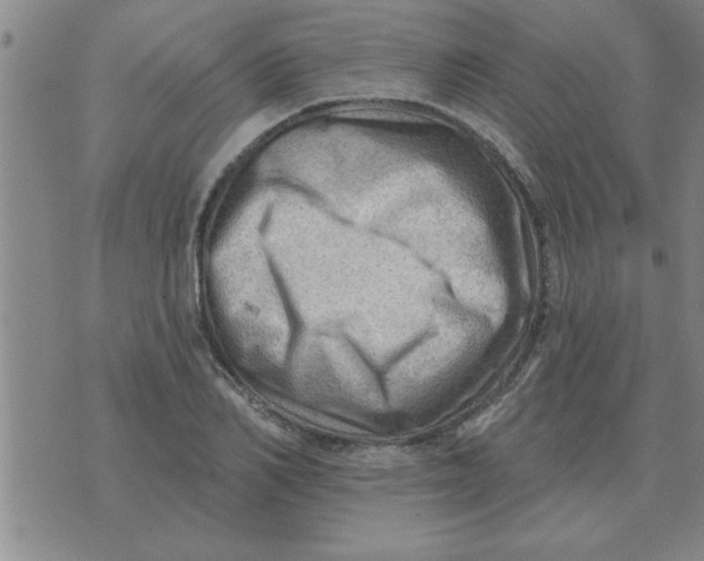 X0000074340982200609152118