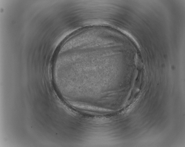 X0000074340983200609152118