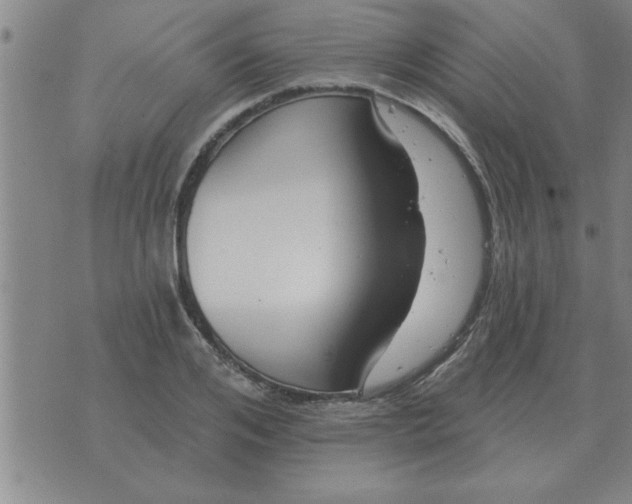 X0000074340984200609152117