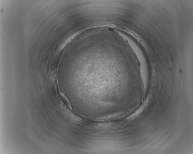 X0000074340985200609152117