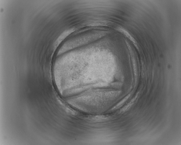 X0000074340986200609152117