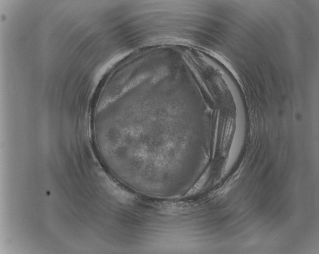 X0000074340987200609152117