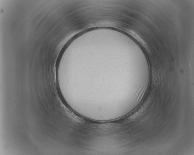 X0000074340988200609152117