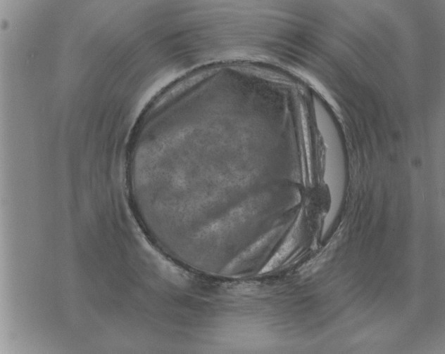 X0000074340991200609152117