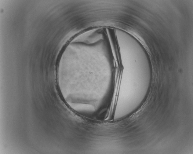 X0000074340992200609152117