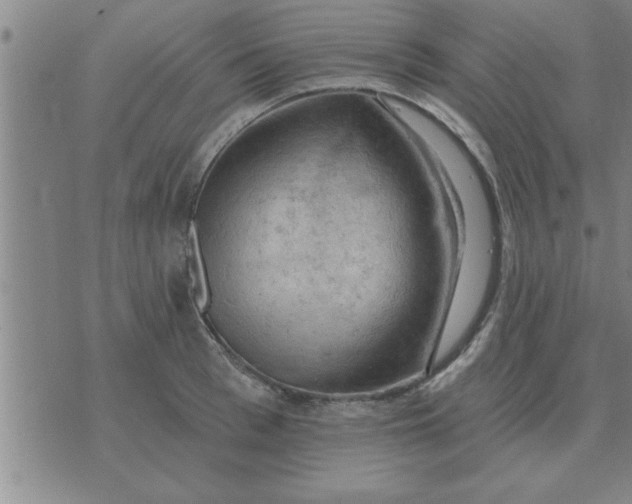 X0000074340993200609152117