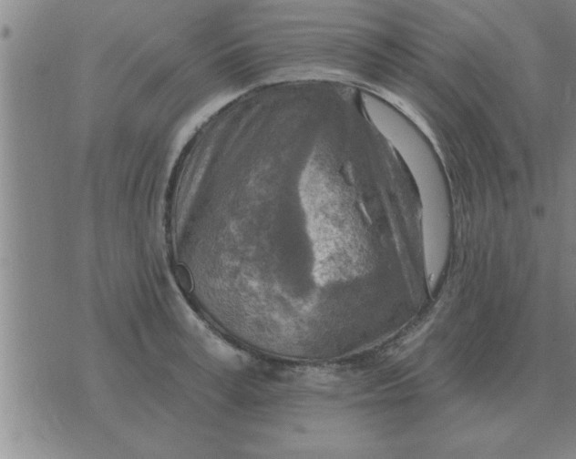 X0000074340995200609152117