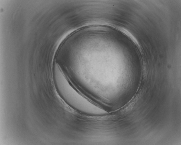 X0000074340996200609152117