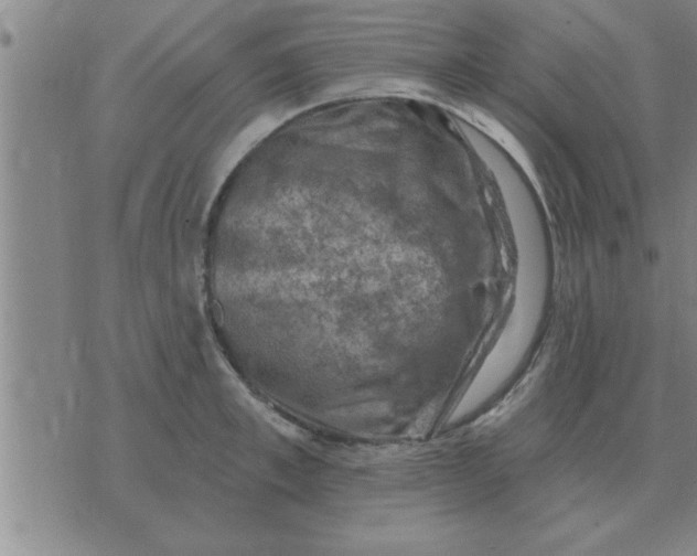 X0000074340997200609152117