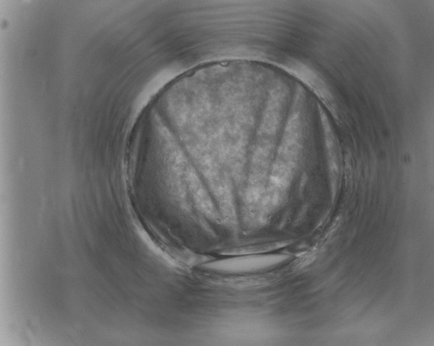 X0000074340998200609152117