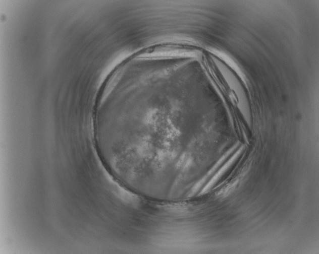 X0000074340999200609152117