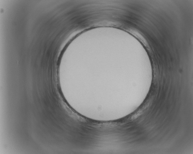 X0000074341000200609152117