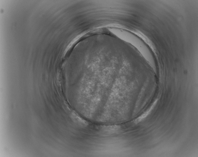 X0000074341001200609152117