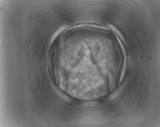 X0000074341002200609152117