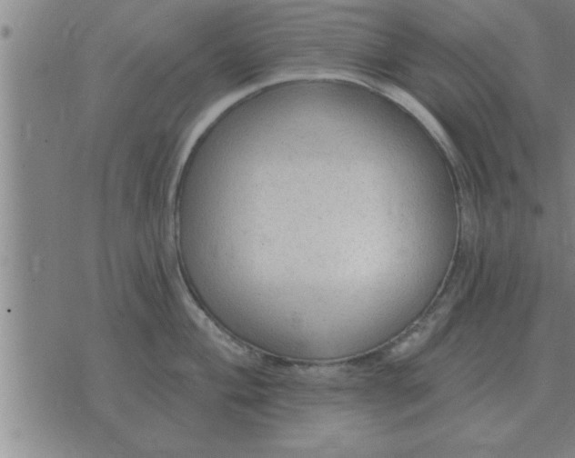 X0000074341004200609152117