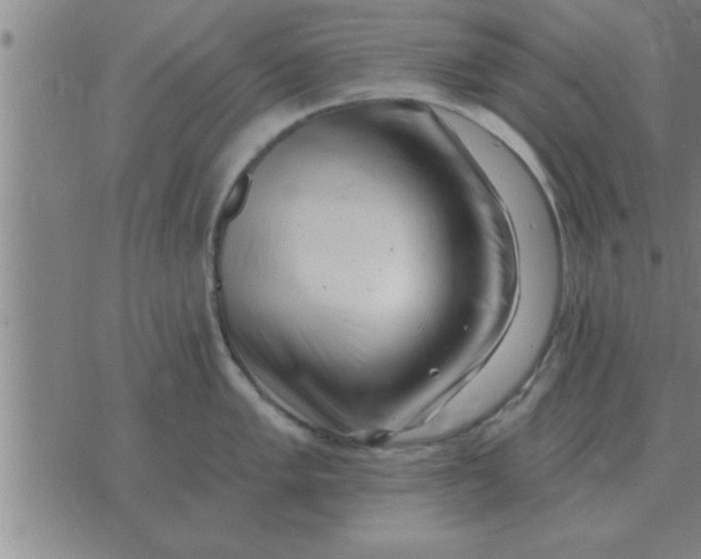 X0000074341005200609152117