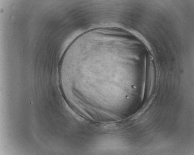 X0000074341006200609152117